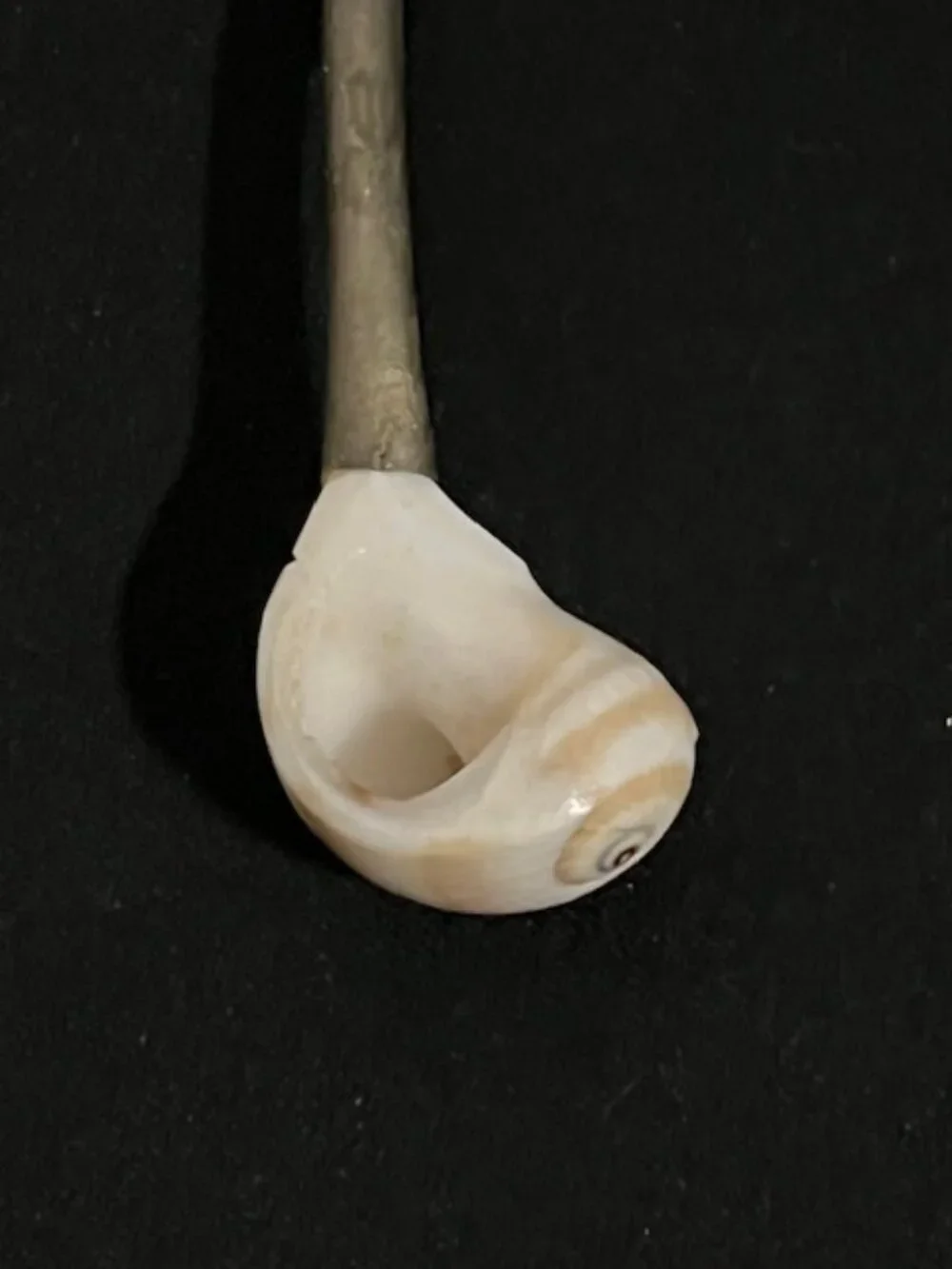 Vintage Mother of Pearl Caviar Serving Spoon Silverplate Sea Shell Handle